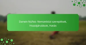 Darwin Núñez: Nemzetközi szereplések, Hozzájárulások, Hatás