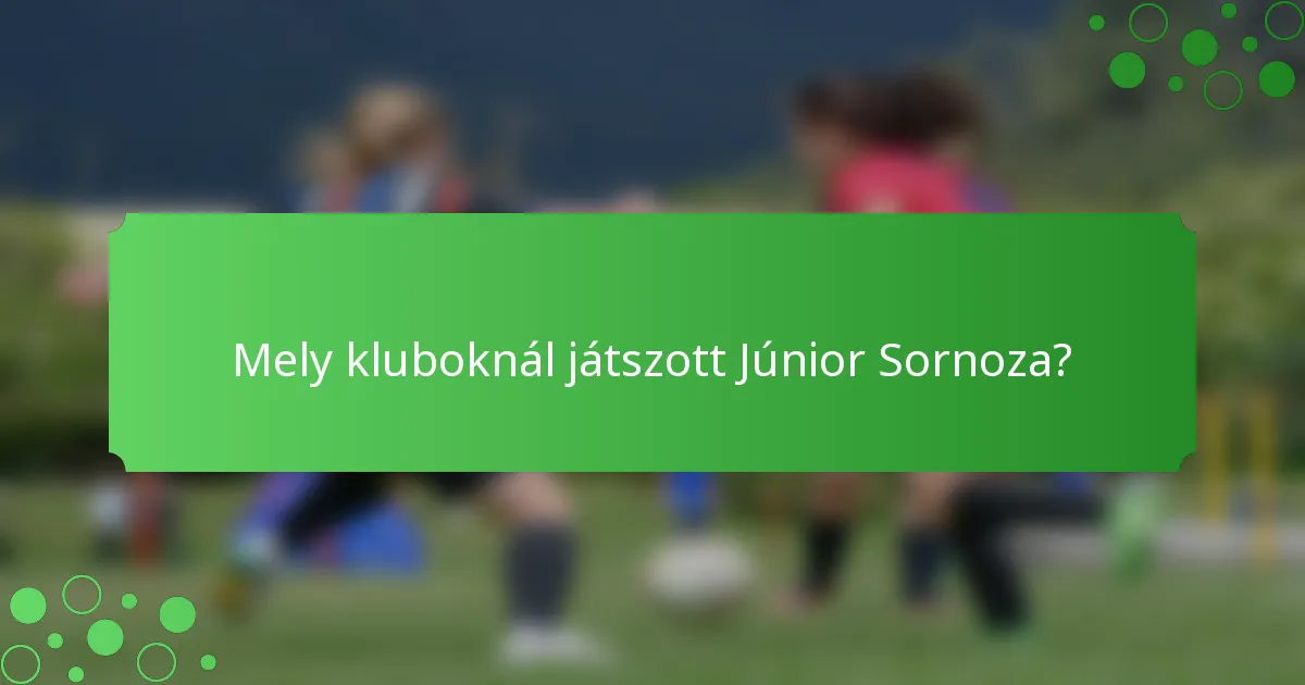 Mely kluboknál játszott Júnior Sornoza?