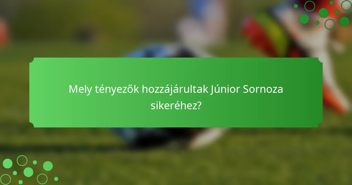 Mely tényezők hozzájárultak Júnior Sornoza sikeréhez?
